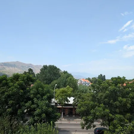 In Center * Shkodër