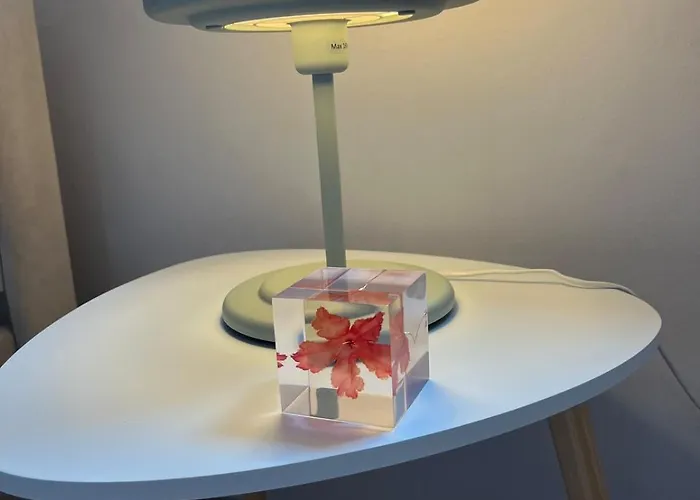 In Center * Shkodër